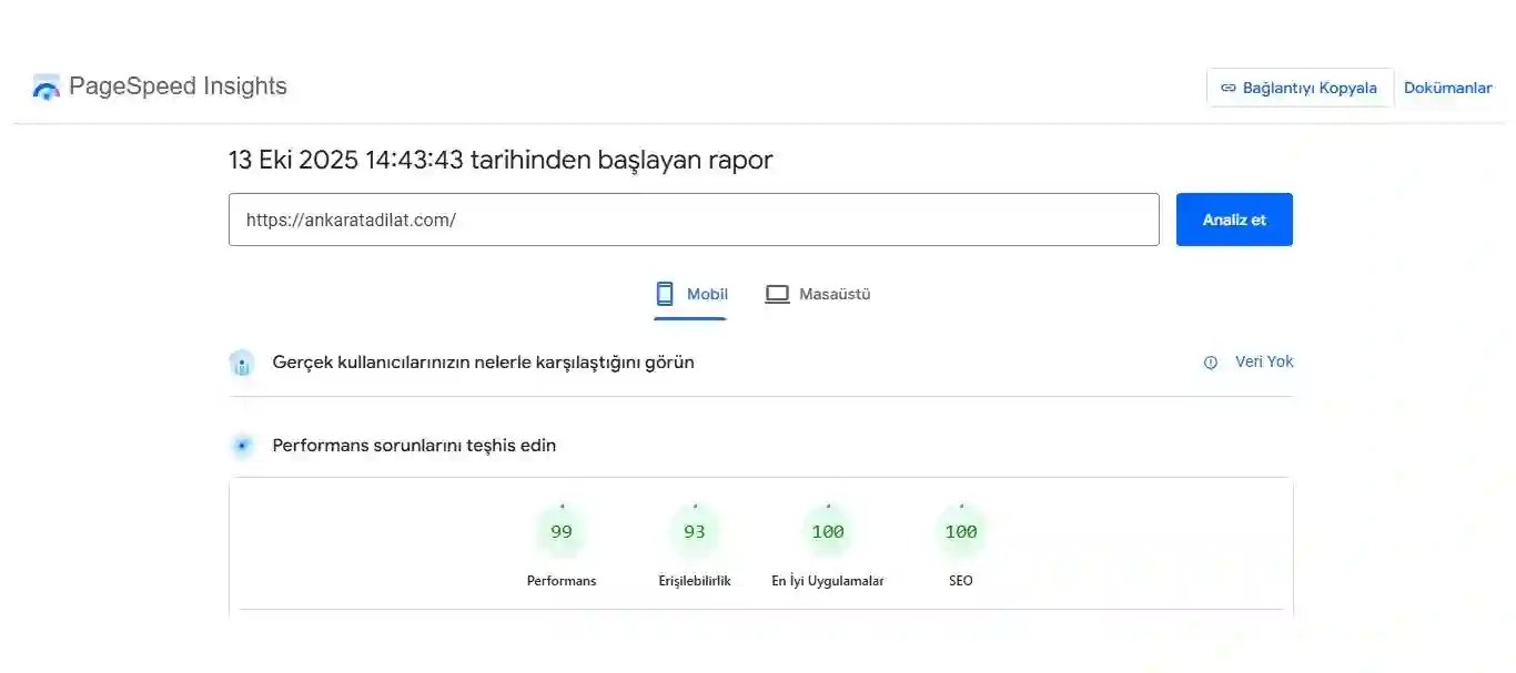 ankara tadilat pagespeed mobile